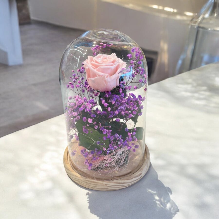 Rosa eterna preservada bajo campana de cristal
